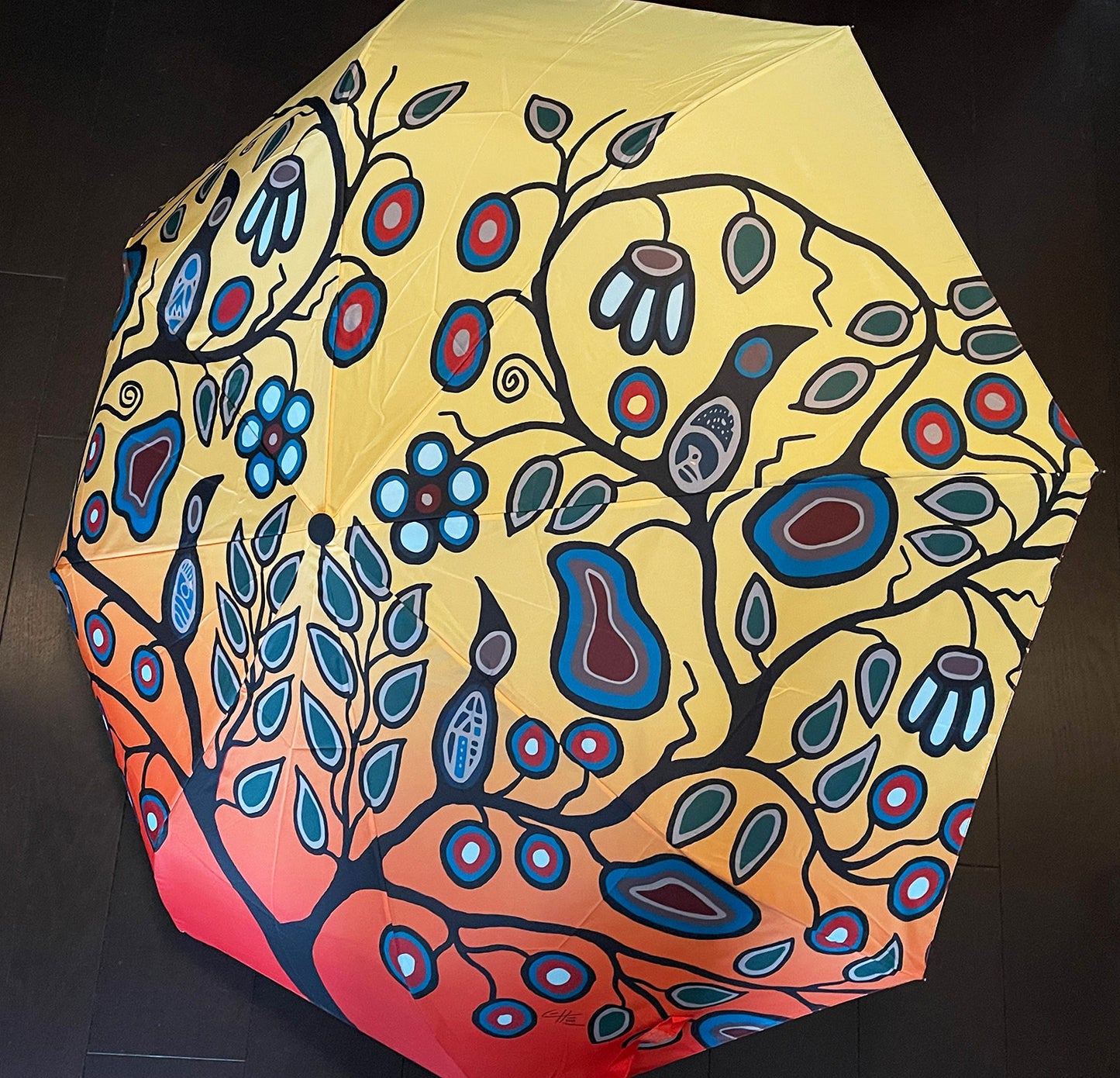 Cody James Houle - Stronger Together with Love and Understanding - Umbrella